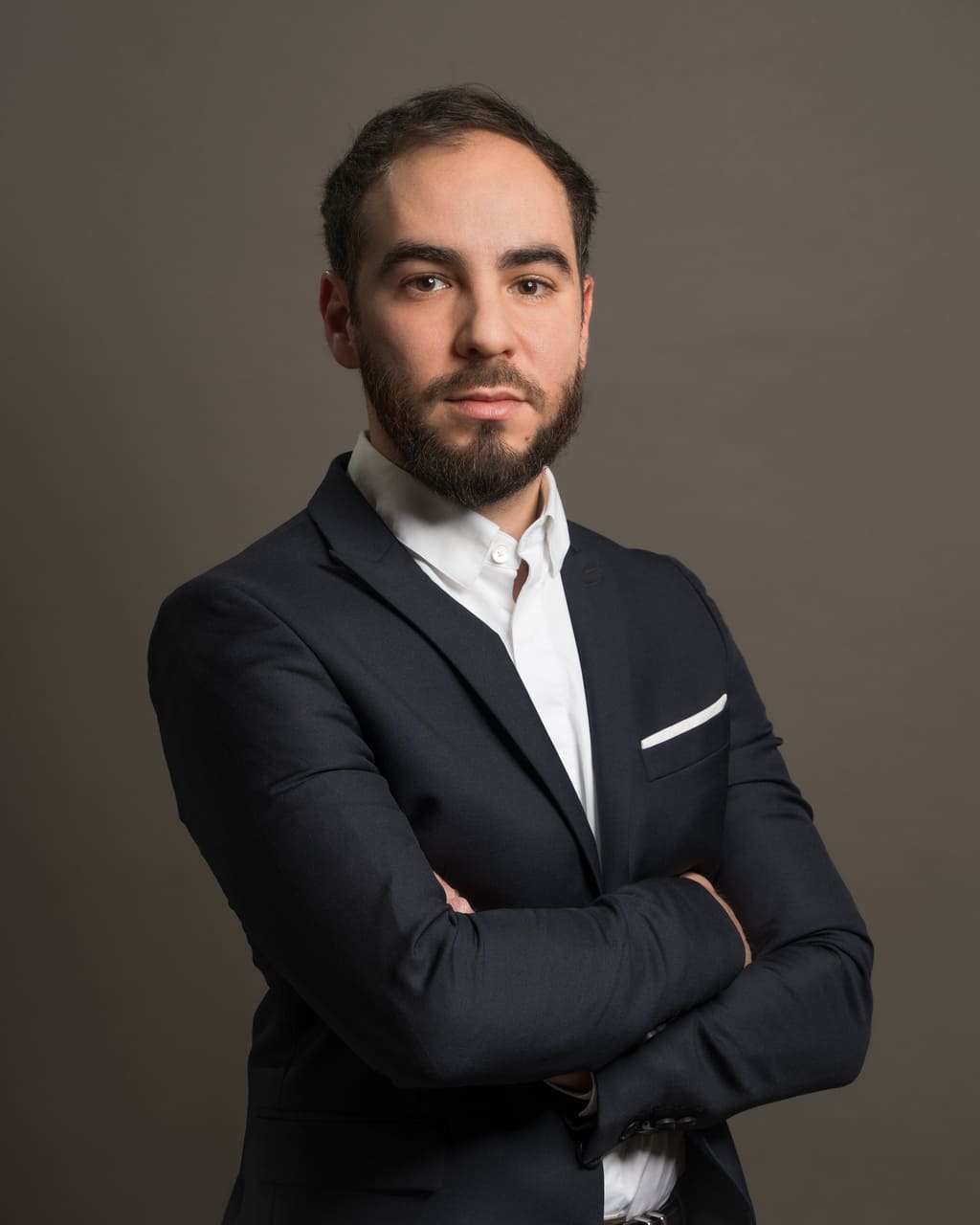 raphael arbib